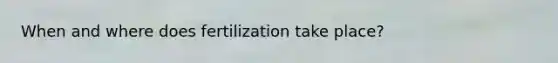 When and where does fertilization take place?