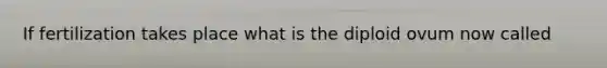 If fertilization takes place what is the diploid ovum now called