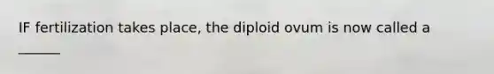 IF fertilization takes place, the diploid ovum is now called a ______