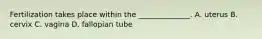 Fertilization takes place within the ______________. A. uterus B. cervix C. vagina D. fallopian tube