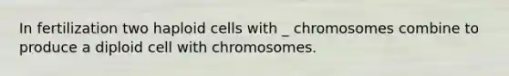 In fertilization two haploid cells with _ chromosomes combine to produce a diploid cell with chromosomes.