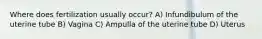 Where does fertilization usually occur? A) Infundibulum of the uterine tube B) Vagina C) Ampulla of the uterine tube D) Uterus