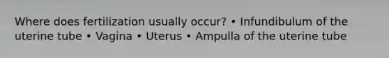 Where does fertilization usually occur? • Infundibulum of the uterine tube • Vagina • Uterus • Ampulla of the uterine tube