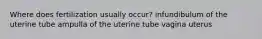 Where does fertilization usually occur? infundibulum of the uterine tube ampulla of the uterine tube vagina uterus