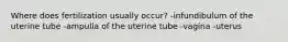 Where does fertilization usually occur? -infundibulum of the uterine tube -ampulla of the uterine tube -vagina -uterus
