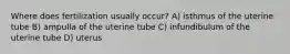 Where does fertilization usually occur? A) isthmus of the uterine tube B) ampulla of the uterine tube C) infundibulum of the uterine tube D) uterus