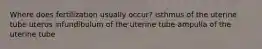 Where does fertilization usually occur? isthmus of the uterine tube uterus infundibulum of the uterine tube ampulla of the uterine tube