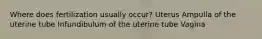 Where does fertilization usually occur? Uterus Ampulla of the uterine tube Infundibulum of the uterine tube Vagina