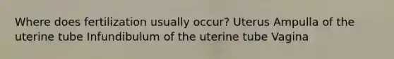 Where does fertilization usually occur? Uterus Ampulla of the uterine tube Infundibulum of the uterine tube Vagina