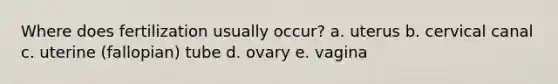 Where does fertilization usually occur? a. uterus b. cervical canal c. uterine (fallopian) tube d. ovary e. vagina