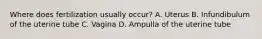 Where does fertilization usually occur? A. Uterus B. Infundibulum of the uterine tube C. Vagina D. Ampulla of the uterine tube