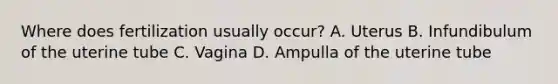 Where does fertilization usually occur? A. Uterus B. Infundibulum of the uterine tube C. Vagina D. Ampulla of the uterine tube