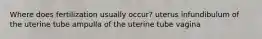 Where does fertilization usually occur? uterus infundibulum of the uterine tube ampulla of the uterine tube vagina