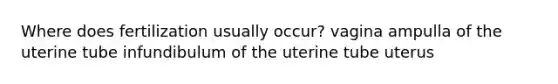 Where does fertilization usually occur? vagina ampulla of the uterine tube infundibulum of the uterine tube uterus