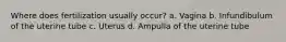 Where does fertilization usually occur? a. Vagina b. Infundibulum of the uterine tube c. Uterus d. Ampulla of the uterine tube