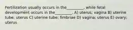 Fertilization usually occurs in the_________, while fetal development occurs in the_________. A) uterus; vagina B) uterine tube; uterus C) uterine tube; fimbriae D) vagina; uterus E) ovary; uterus