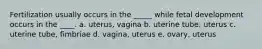 Fertilization usually occurs in the _____ while fetal development occurs in the ____. a. uterus, vagina b. uterine tube, uterus c. uterine tube, fimbriae d. vagina, uterus e. ovary, uterus