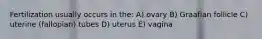 Fertilization usually occurs in the: A) ovary B) Graafian follicle C) uterine (fallopian) tubes D) uterus E) vagina
