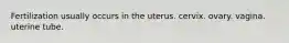 Fertilization usually occurs in the uterus. cervix. ovary. vagina. uterine tube.