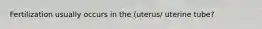 Fertilization usually occurs in the (uterus/ uterine tube?