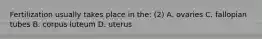Fertilization usually takes place in the: (2) A. ovaries C. fallopian tubes B. corpus luteum D. uterus