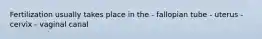 Fertilization usually takes place in the - fallopian tube - uterus - cervix - vaginal canal