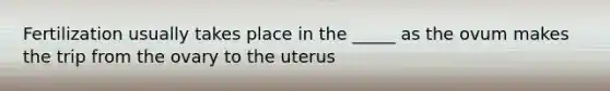 Fertilization usually takes place in the _____ as the ovum makes the trip from the ovary to the uterus