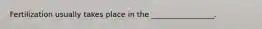 Fertilization usually takes place in the _________________.