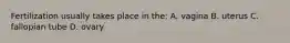 Fertilization usually takes place in the: A. vagina B. uterus C. fallopian tube D. ovary