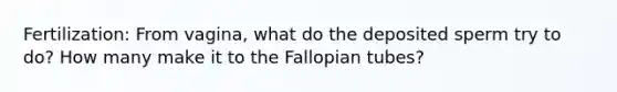 Fertilization: From vagina, what do the deposited sperm try to do? How many make it to the Fallopian tubes?