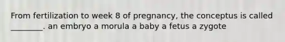 From fertilization to week 8 of pregnancy, the conceptus is called ________. an embryo a morula a baby a fetus a zygote