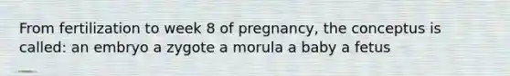 From fertilization to week 8 of pregnancy, the conceptus is called: an embryo a zygote a morula a baby a fetus