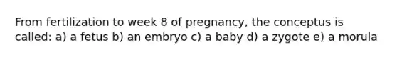 From fertilization to week 8 of pregnancy, the conceptus is called: a) a fetus b) an embryo c) a baby d) a zygote e) a morula