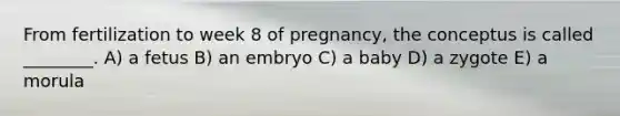 From fertilization to week 8 of pregnancy, the conceptus is called ________. A) a fetus B) an embryo C) a baby D) a zygote E) a morula