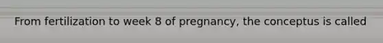 From fertilization to week 8 of pregnancy, the conceptus is called