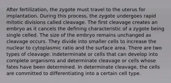 After fertilization, the zygote must travel to the uterus for implantation. During this process, the zygote undergoes rapid mitotic divisions called cleavage. The first cleavage creates an embryo as it cancels the defining characteristic of a zygote being single celled. The size of the embryo remains unchanged as cleavage occurs. They divide into smaller cells to increase the nuclear to cytoplasmic ratio and the surface area. There are two types of cleavage: indeterminate or cells that can develop into complete organisms and determinate cleavage or cells whose fates have been determined. In determinate cleavage, the cells are committed to differentiating into a certain cell type.