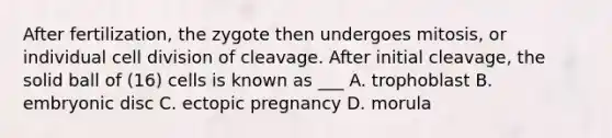 After fertilization, the zygote then undergoes mitosis, or individual cell division of cleavage. After initial cleavage, the solid ball of (16) cells is known as ___ A. trophoblast B. embryonic disc C. ectopic pregnancy D. morula