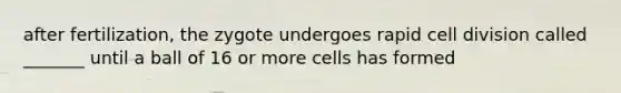 after fertilization, the zygote undergoes rapid <a href='https://www.questionai.com/knowledge/kjHVAH8Me4-cell-division' class='anchor-knowledge'>cell division</a> called _______ until a ball of 16 or more cells has formed