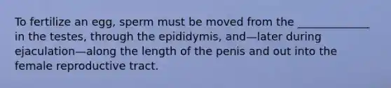 To fertilize an egg, sperm must be moved from the _____________ in the testes, through the epididymis, and—later during ejaculation—along the length of the penis and out into the female reproductive tract.