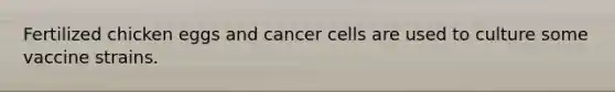 Fertilized chicken eggs and cancer cells are used to culture some vaccine strains.