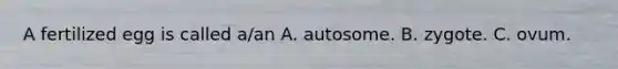 A fertilized egg is called a/an A. autosome. B. zygote. C. ovum.