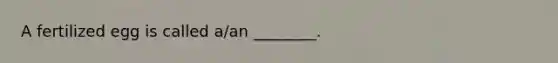 A fertilized egg is called a/an ________.