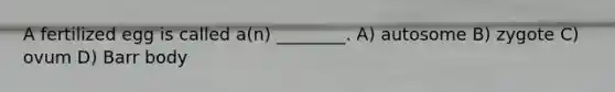 A fertilized egg is called a(n) ________. A) autosome B) zygote C) ovum D) Barr body