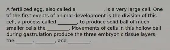 A fertilized egg, also called a ___________, is a very large cell. One of the first events of animal development is the division of this cell, a process called ________, to produce solid ball of much smaller cells the _________. Movements of cells in this hollow ball during gastrulation produce the three embryonic tissue layers, the _______, ________, and _________.