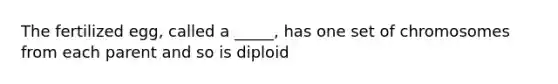 The fertilized egg, called a _____, has one set of chromosomes from each parent and so is diploid