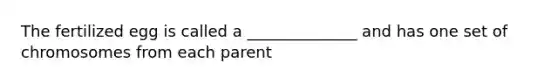 The fertilized egg is called a ______________ and has one set of chromosomes from each parent