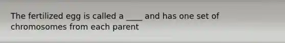 The fertilized egg is called a ____ and has one set of chromosomes from each parent