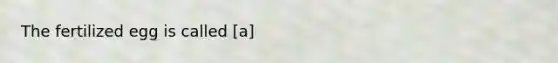 The fertilized egg is called [a]