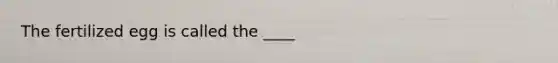 The fertilized egg is called the ____