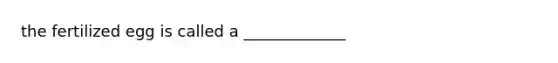 the fertilized egg is called a _____________